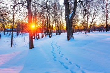 Colorful sunset in winter park