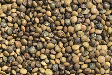 Closeup view and pattern of some Lentils
