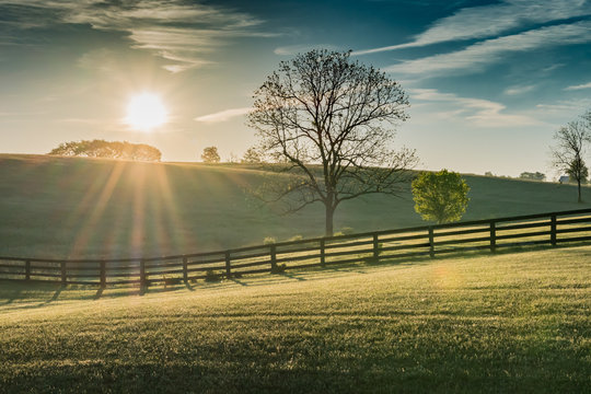 Fototapeta Sun Shines Over Rolling Kentucky Field