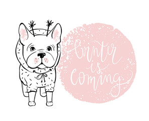 Merry Christmas illustration with funny dog. Hand drawn vector f