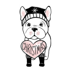 Cute vector dog in winter clothes. Fashion French bulldog puppy. Stylish animals. Clothing for pets.