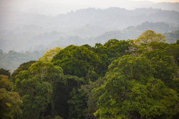 Canop&eacute;e - Costa Rica