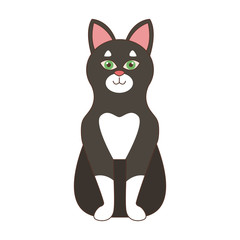 Cute cat cartoon