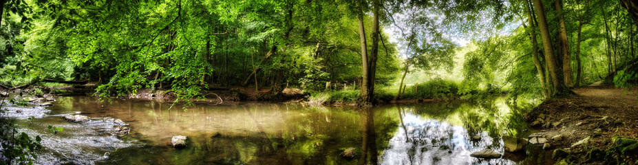 Fototapeta na wymiar Small River through Forest