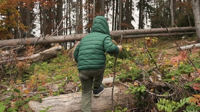 A young boy is walking with a wooden stick in hand in a mountain forest on the sunny day. A hiker dressed in a green jacket with a hood is walking in the autumn forest
