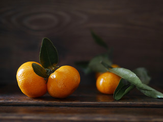 Mandarins with leaves on a dark wooden background. Still life with tangerines, low light.