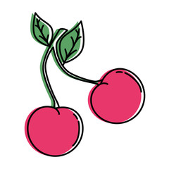 delicious cherry isolated icon vector illustration design