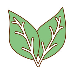 leafs plant isolated icon vector illustration design