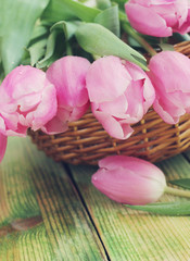 Bouquet of pink tulips
