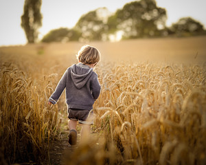 Walking In Fields Of Gold © JWCaptures