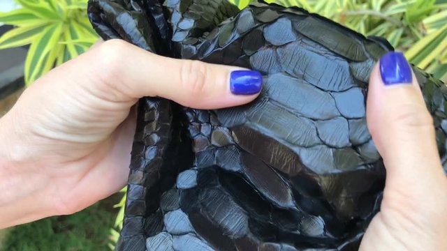 Snake skin, exotic leather, black python. Luxury python leather. Bali.