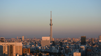日本の東京都市景観「夕日に赤く染まる街並み」（墨田区方面などを望む）