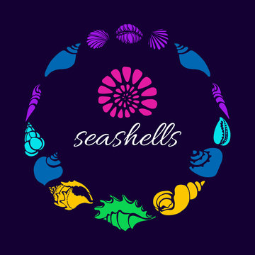Color set of silhouettes of sea shells in circle. Vector