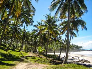 Obraz premium Gorgeous Itacare beach in Brazil