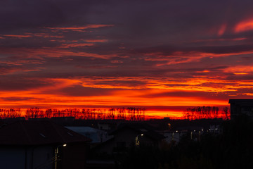 Fototapeta premium Orange Sunset