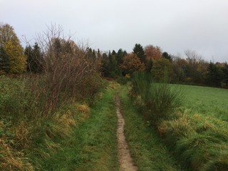 Naturlandschaft im November
