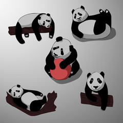 Fototapeta premium Cute cartoon panda set icons. Black white hand drawn doodle animal