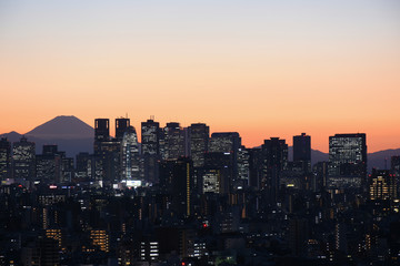日本の東京都市風景・美しい夜景「富士山と新宿の高層ビル群」