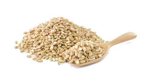 Fototapeta premium pearls barley grain seed on background