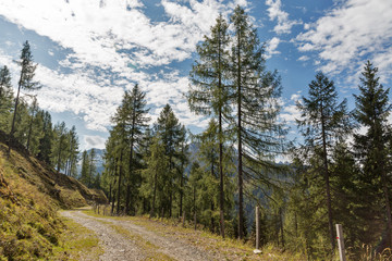 Fototapeta na wymiar Alpine landscape in Western Carinthia, Austria.