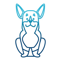 Cute dog cartoon icon vector illustration graphic design