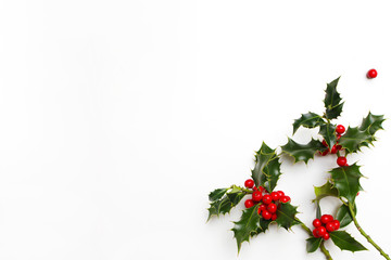 Christmas holly floral decoration on white background. Evergreen leaves with red berries and empty...