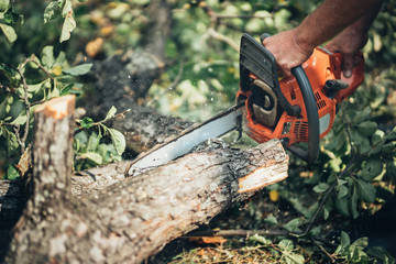 Chainsaw in action cutting fire wood. Man cutting wood with professinal chainsaw