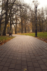 Fall. Autumn foliage. Park in the fall.