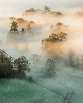 Golden light shining through thick mist on an Autumnal morning in the Lake District.
