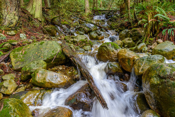 Beautiful Mountain River or Creek at West Vancouver, Canada.