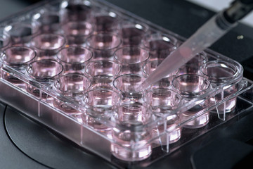 Life science research