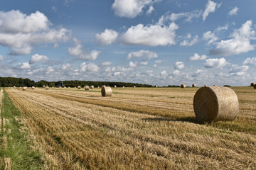 Bales of Straw