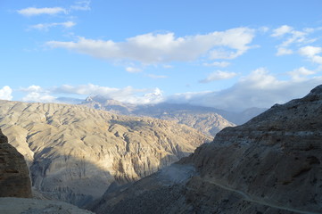 Obraz premium nature through lens