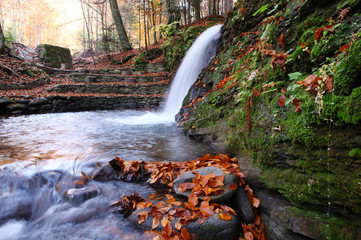 Little waterfall in the beech forest in the fall.