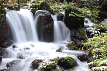 Obraz premium 瓜割の滝