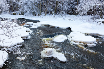 Ice floes in the river on the forest river