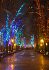 Christmas illumination on downtown street