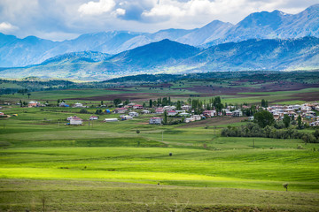 Fototapeta na wymiar Rural town in green fields