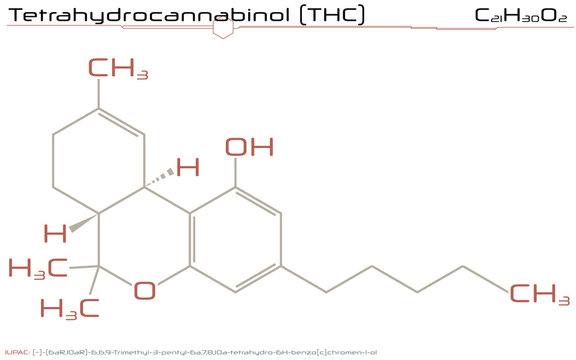 Large and detailed illustration of the molecule of THC