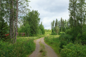 Fototapeta na wymiar Dirt road in countryside in Finland at summer day
