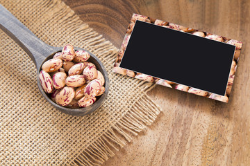 Pinto beans (Phaseolus vulgaris)