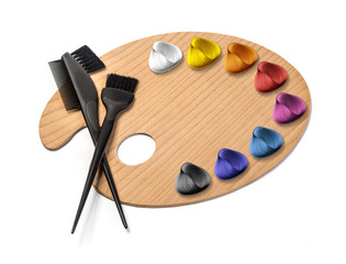 Haidresser Palette  on white