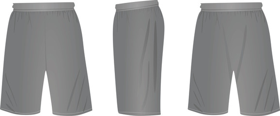Grey shorts. vector illustration