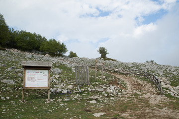 Monte Cervati, sentiero verso Santuario Madonna Della Neve 