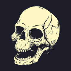 Stencil of skull. Vector clip art