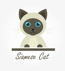 Siamese cat illustation