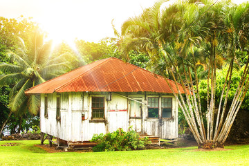 old wooden house surrounded by palm trees