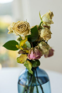 Bouquet of withered roses in glass vase