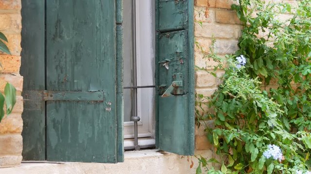 VENICE, ITALY, SEPTEMBER 7, 2017: so-called Venetian or Italian architecture, beautiful vintage glass windows with green shutters and red brick wall and a curly green plant on the wall