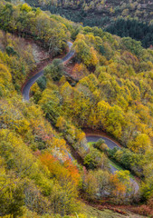 Curvas en la carretera a través del bosque otoñal